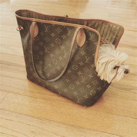 cuscino per cane louis vuitton|Dog Bag Monogram Canvas .